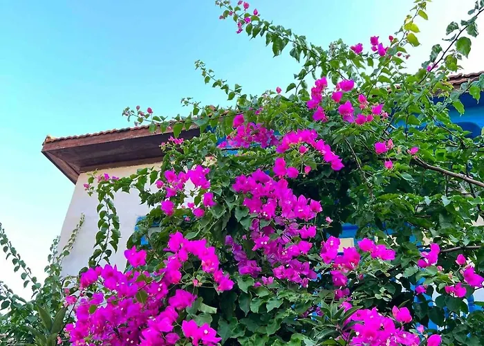 House With Blue Balcony Tatil Evi