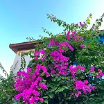 House With Blue Balcony 別荘