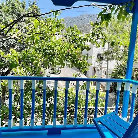 House With Blue Balcony 別荘