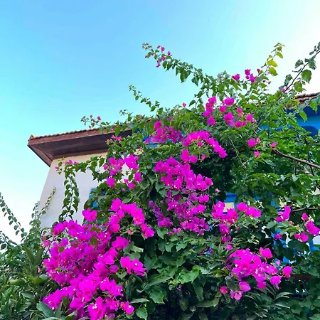 House With Blue Balcony 別荘